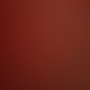 Meet your Posher, Gracie